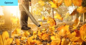 The jet skis of suburbia are more popular than ever. I can’t believe leaf blowers are allowed to exist