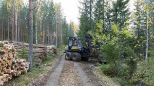 Talous | Asiantuntijalta: Metsänomistajan vai sijoittajan metsästä saamaan korkoon suhtaudutaan eri tavoin