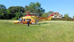 Travolta da un furgone, Lucia muore dopo tre giorni di calvario