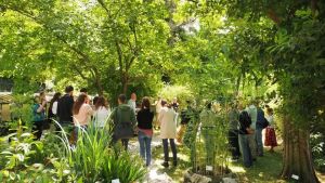 L'Orto Botanico Universitario di Trieste: tra didattica e radici farmaceutiche