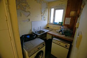 ‘Shedsit’ garden cabins could become a rental black market