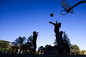 Des parcs bruyants, signe de vitalité