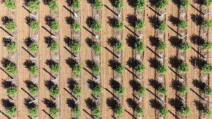 Column: Let's Use AI to Build a Better World