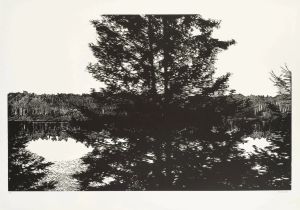 « Mémoires du paysage » : au musée Louis-Senlecq de L’Isle-Adam, deux artistes réunies pour un voyage en gravure