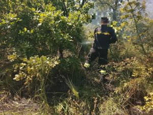 Sottobosco in fiamme a Jazzo del Demonio