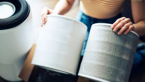 Want to Give Your Brain Function a Boost? Buy an Air Purifier