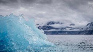 Klimakollaps: Her er en god nyhed, og det er nok derfor, at du ikke har hørt om den