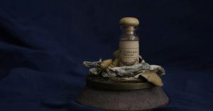 The New Executive Order (EO) on Psychedelics—What Comes Next?