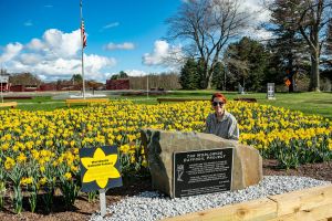 Daffodil Blossoms Planted in My Life Bank Account