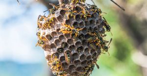 Stop Fighting Unwanted Thoughts