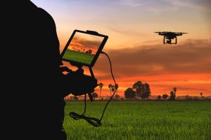 Menos agricultores, mais agricultura