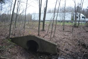 Animals need infrastructure, too