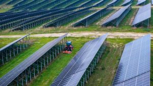 Hühner, die unter Solaranlagen nach Würmern picken – ja bitte!