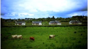 Should planning rules for one-off housing be relaxed? Opinions for and against