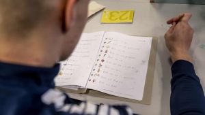 Vi risikerer at diskutere symptomet og overse sygdommen: Tolken er ikke problemet