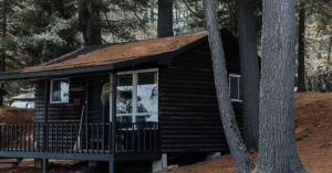 Seriously seeking stress-free solace