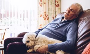 Past enournega dremeža: zakaj se zbujamo kot povoženi?