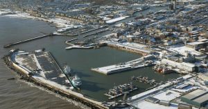 Major development set at UK's most easterly port despite kittiwake fears