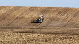 Weltbank: Höhere Düngerpreise belasten Lebensmittelangebot