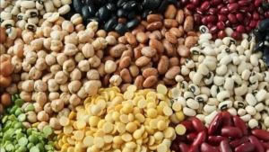 El Nino, Monsoon Deficiency Threaten Indian Kharif Pulse Production