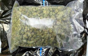 Dvadeset dva budistička monaha i 110 kilograma marihuane