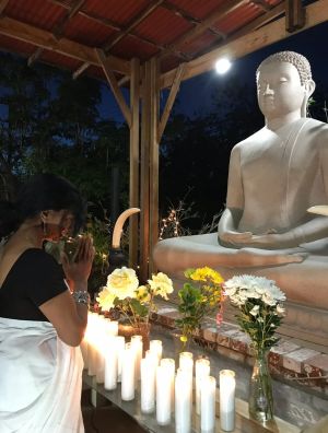 From Sri Lanka to Gaza: What Terror Taught Me About Peace and the Lie of Liberation