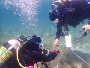 The Mediterranean: Warmer, saltier, more acidic, and rising fast — report