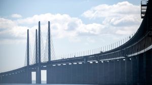 ”Mer ovanligt var att den första politiker som talade inte var dansk utan svensk.”