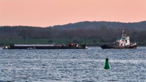 Schleppverband mit Wal ist auf dem Weg in die Nordsee