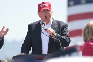 La lingüística como instrumento para la paz mundial