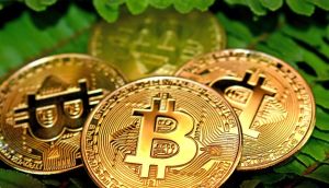 Canada plans to ban crypto ATMs used in fraud