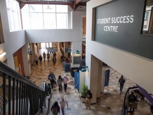 Peter MacKinnon: The clear and present danger to universities is not from without, but within