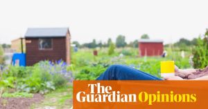 I got an allotment to escape the chaos – and discovered a hotbed of vendettas
