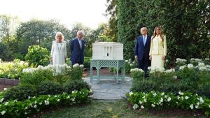 Carlo III e la diplomazia delle api