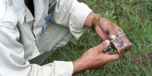 Clearing the Ground Beneath Our Feet: Why Demining Is the Ultimate Environmental Act