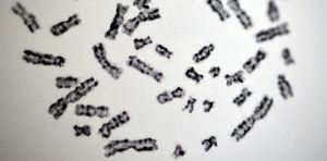 Diagnostic préimplantatoire et anomalies chromosomiques : les enjeux scientifiques et éthiques du DPI‑A