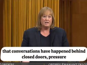 Terry Newman: Conservative MP speaks out about how the Liberals tried to poach her