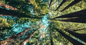 Measuring Eudaimonia With Meaning and Character