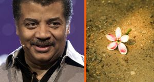 Neil deGrasse Tyson reveals the science of why he wants to be buried instead of cremated