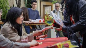 Los dragones de Sant Jordi