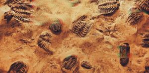 Evolvable AI: are we on the brink of the next major evolutionary transition?