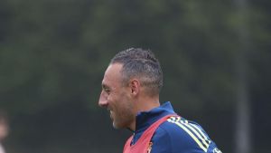 Santi Cazorla: 
