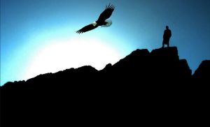 El águila y el tigre