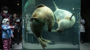 Nezapamćen zločin u Japanu: Bacio telo supruge u spalionicu zoološkog vrta