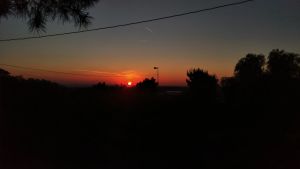 Primo Maggio, appuntamento in Pineta con il sole dell’avvenire