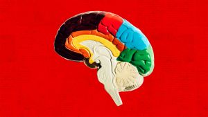 Harvard Research Says This Is the Secret to a Happy Life. Neuroscience Confirms It, After 25 Years