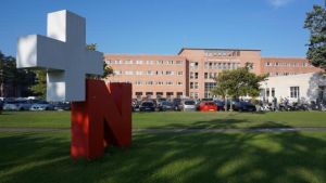 Carta íntegra de 70 facultativos de la red de Salud Mental del Servicio Navarro de Salud