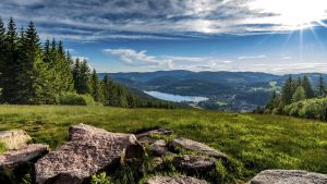 Primo maggio in Germania sulla Strada degli asparagi del Baden