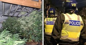 Albanian behind £250,000 cannabis farm accused of illegally entering UK