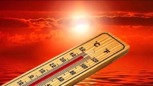 Climate Change Impact: Summer Indicates The Need For Citizen-First Humane Cities
